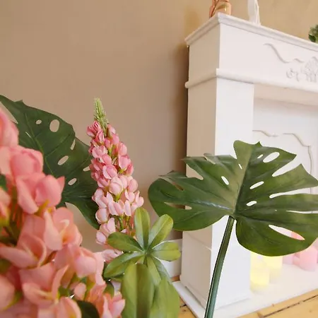 Daire Secret Hideaways Boho Artstudio Mit Smarthome Nahe L Messe L Hbf Duisburg